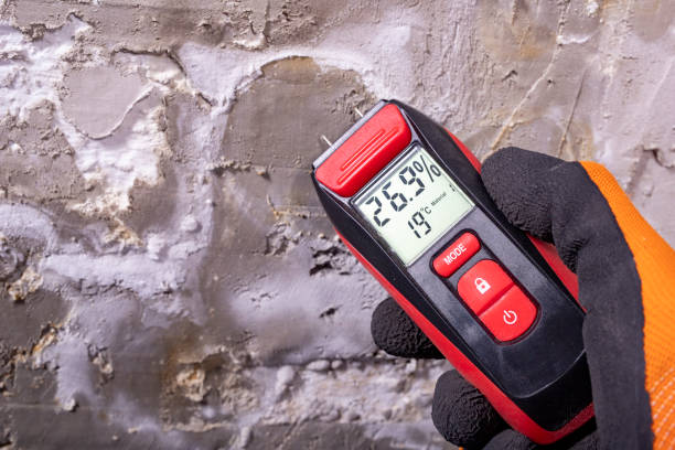 Certified Mold Removal in Windy Hills, KY