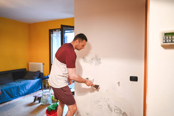 Best Same-Day Mold Removal  in Windy Hills, KY